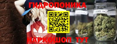 ешки Кингисепп