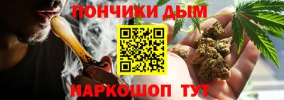 ешки Кингисепп