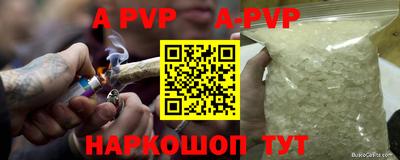 ешки Кингисепп